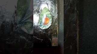 Снегирь кабошон с лаковой росписью