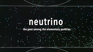 Neutrino, the poet among the elementary particles