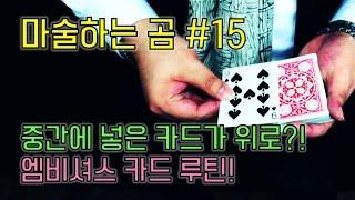 [제주도 마술하는곰] 중간에 넣은 카드가 위로 올라간다?! 엠비셔스 카드 루틴, 엘레베이터 카드!!