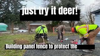 Deer protection for your native garden.  Try horse panel fencing.