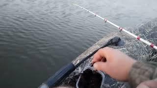 Рыбалка на Северском Донце. Сазан 15кг