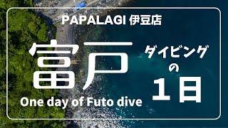 【ダイビング】【富戸ダイブの１日】パパラギツアー