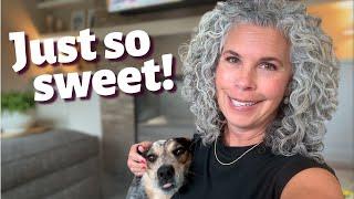 How My 3 Dogs Get Ready for Bed – So Precious!