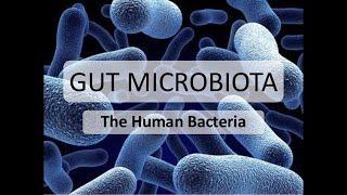 Human Gut Microbiota | Human Microbiota | Human Microbiome |