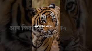 subscribe️ bks.motivation #short #status #reels #videos