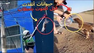 حيوانات طلبت المساعدة من البشر | رد فعل الحيوانات سيصدمك | الجزء الثاني