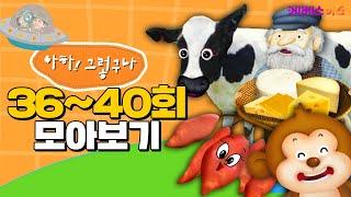 원숭이와 치즈에 숨겨진 비밀이 있다?ㅣ호기심ㅣ아하! 그렇구나 36~40회 모아보기ㅣKBS 방송