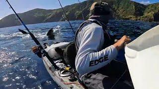 MASSIVE GREAT WHITE SHARK HUNTS MY KAYAK! ( Terrifying SOLO Encounter )