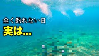 全く釣れない日の水中映像が異次元すぎた...【中部の磯】