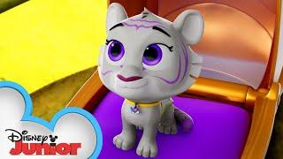 Adventures In Tigersitting | T.O.T.S. | @disneyjunior