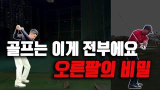 10년동안 아무리 연구해봐도 골프는 수직낙하와 외회전만 연습하면 끝입니다.