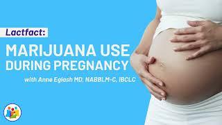 LACTFACT: Marijuana Use During Pregnancy