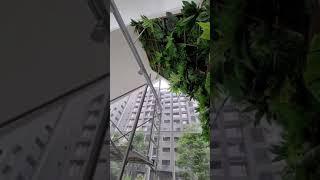 超擬真仿真植栽牆!! 商業空間 咖啡廳 樣品屋 讓室內也充滿綠意