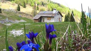 AmbassadorFVG Giorgio Madinelli Sentiero dei Forestali