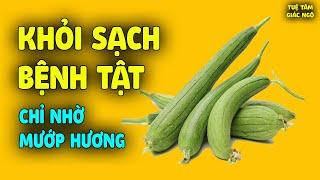 Công Dụng Rất Bất Ngờ Của Quả Mướp Hương, CHỮA CẢ TỶ BỆNH nếu biết cách dùng