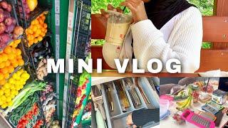 Mini vlog | Lots of cooking, fridge restock and organising, productive day of a college student