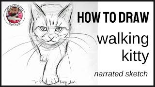 How to Draw Cat Walking Forward Toward You, front face view, shorthair standing full body with paws