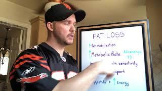 How Fat Loss Supplements Work - Part 2 (beta adrenergic stimulation, T3 production)