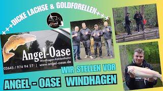 +++DICKE LACHS- und GOLDFORELLEN und kleine Barsche+++Angel Oase Windhagen