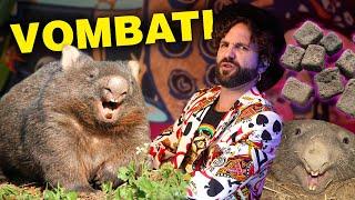 WOMBAT animale scemo