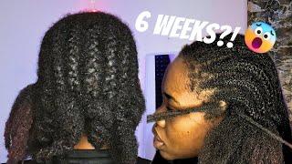 Taking down my cornrows after 6 weeks + length retention tips