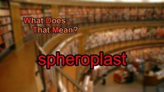 What does spheroplast mean?