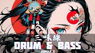 【和風BGM】Japanese Drum and Bass Jungle 作業用BGM Vol.2