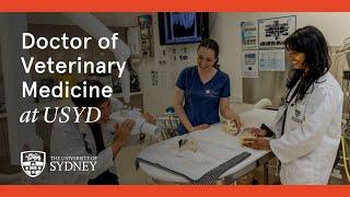 Doctor of Veterinary Medicine at the University of Sydney