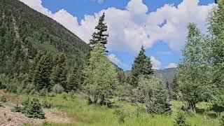 Gorgeous Mountain Ranch for sale in Jasper, CO. 53 riverfront acres with home and water rights.