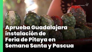 Aprueba Guadalajara instalación de Feria de Pitaya en Semana Santa y Pascua | Jalisco Noticias