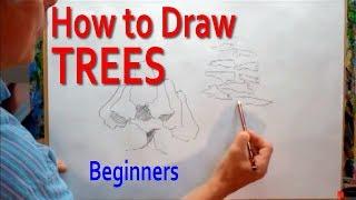 How to Draw Trees - Simply