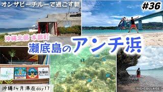 【#36】沖縄旅/お魚見放題のビーチ瀬底島アンチ浜！！沖縄北部本部町 海目の前のコンドミニアム オン・ザ・ビーチ ルーで過ごす朝。沖縄観光1ヶ月長期滞在day17