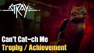 Stray - Can't Cat-ch Me Trophy / Achievement [Complete the First Zurk Pursuit Without Being Caught]