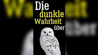 Die dunkle Wahrheit über Eulen