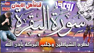 سورة البقرة كاملة مكررة لطرد الشياطين الشياطين والسحر والحسد والعين جلب الرزق والبركةsurat albaqara