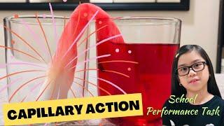 Capillary Action Explained (In simple words) | Easy Science Experiment | Performance Task