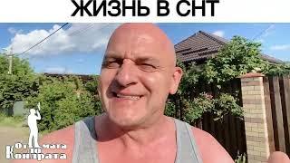 ЖИЗНЬ В СНТ