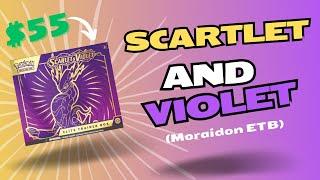 Scarlet and Violet’s ETB are UNDERRATED !!!