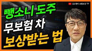 뺑소니 합의금 교통사고 정부보장사업  무보험차 보험처리 보상 받는 법 [김도형의 보험보상 TV] #교통사고보험 #후유장해진단  #교통사고손해사정사 #교통사고합의요령