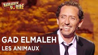 Gad Elmaleh - Les animaux - Marrakech du rire 2011