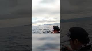Xtreme UL jigging | RELIX NUSANTARA JABRIK PE0.8