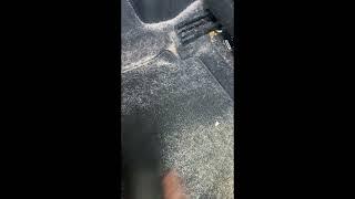 How do I remove dog hair from my car?