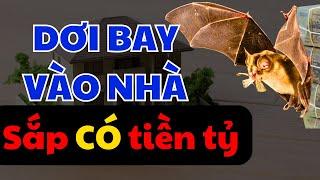 Dơi Bay Vào Nhà Là Điềm Lành Hay Dữ Báo Cho Gia Chủ Điềm Gì