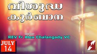 SUNDAY HOLY MASS LIVE @ 6 AM,14 JULY 2024|Fr Alex Chalangady VC|MALAYALAM QURBANA|TODAY|GOODNESS TV