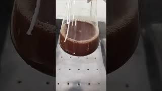 Chocolate in process #microbiology #making #agar #chocolate #bacteriology