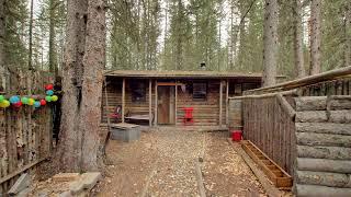 A Cabin in the Woods in Bragg Creek Alberta