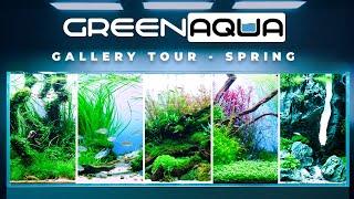 GREEN AQUA Gallery Tour 2024 Spring | Cinematic