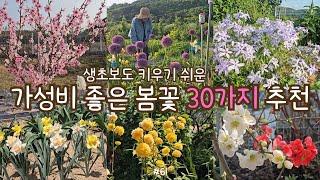 sub) 30 Beautiful spring flowers that can be easily grown