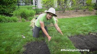 Mowing to Growing: Turning Your Lawn into a Garden