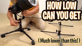 Worlds Lowest Light Stands